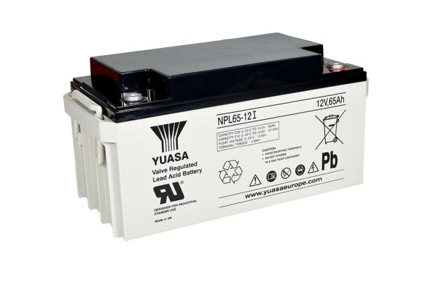 Yuasa NPL65-12I 12V 65Ah USV-Batterie - Longlife